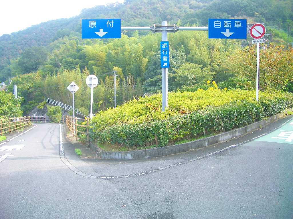 イメージ 5