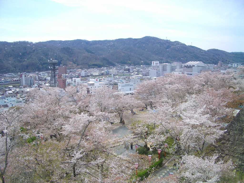 イメージ 8