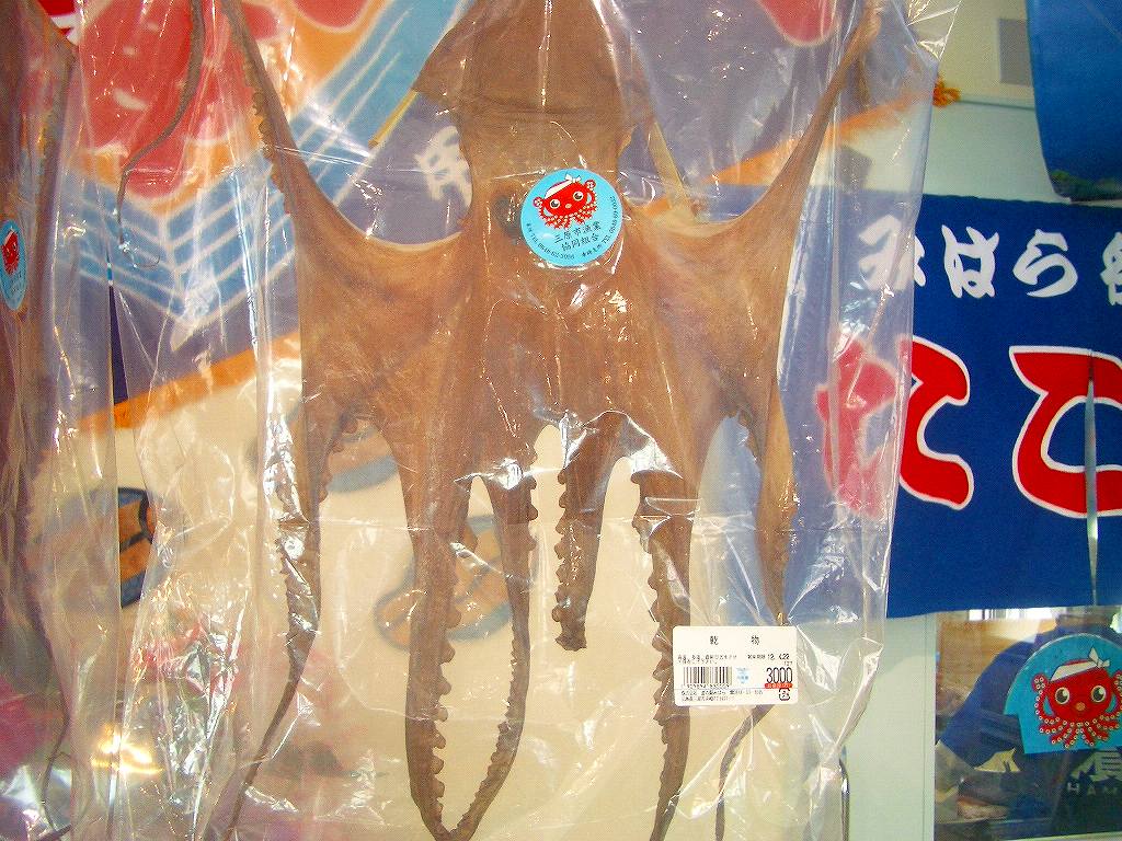 イメージ 5