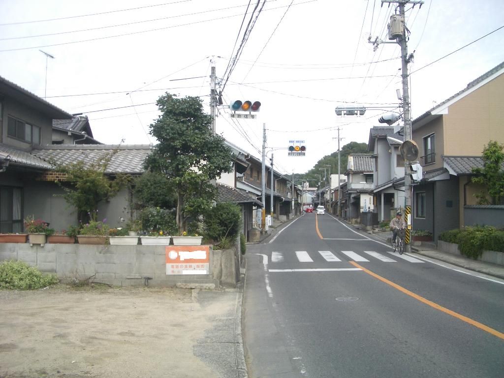 イメージ 6