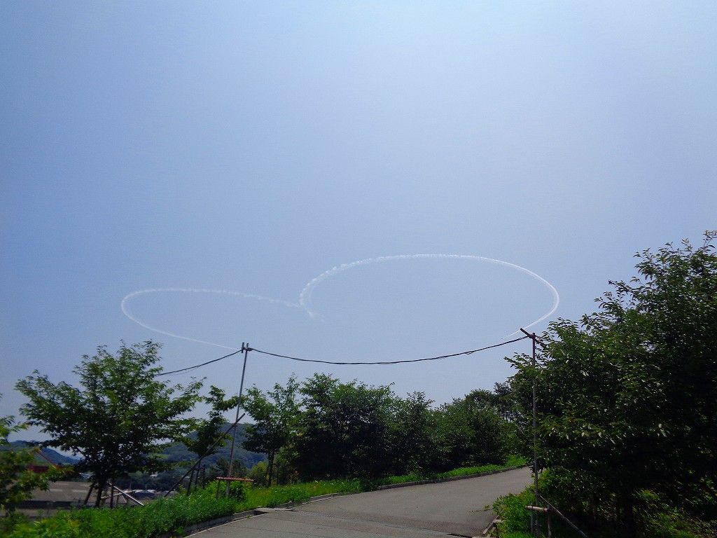 イメージ 5