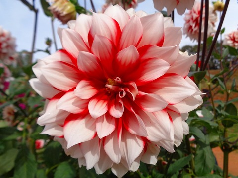 DSC04806