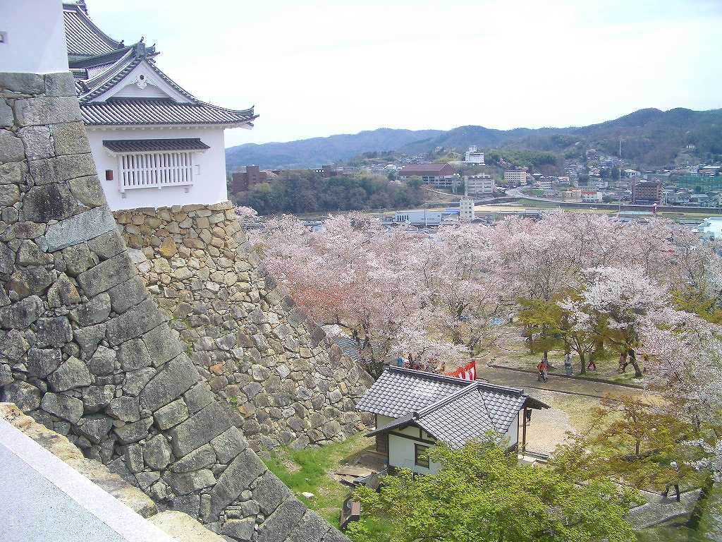 イメージ 10