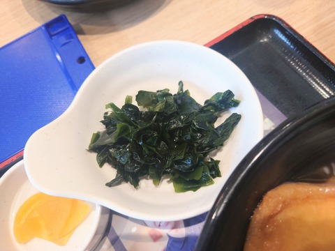DSC_5519