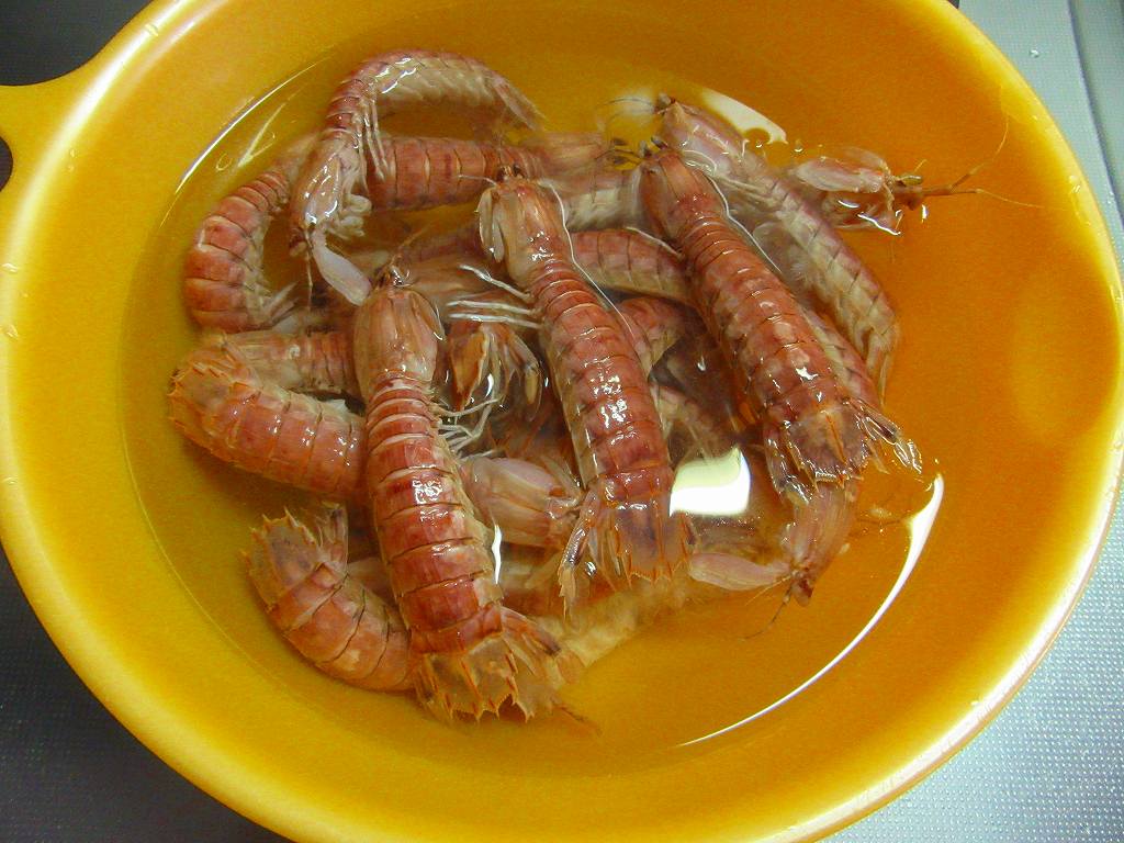 イメージ 6