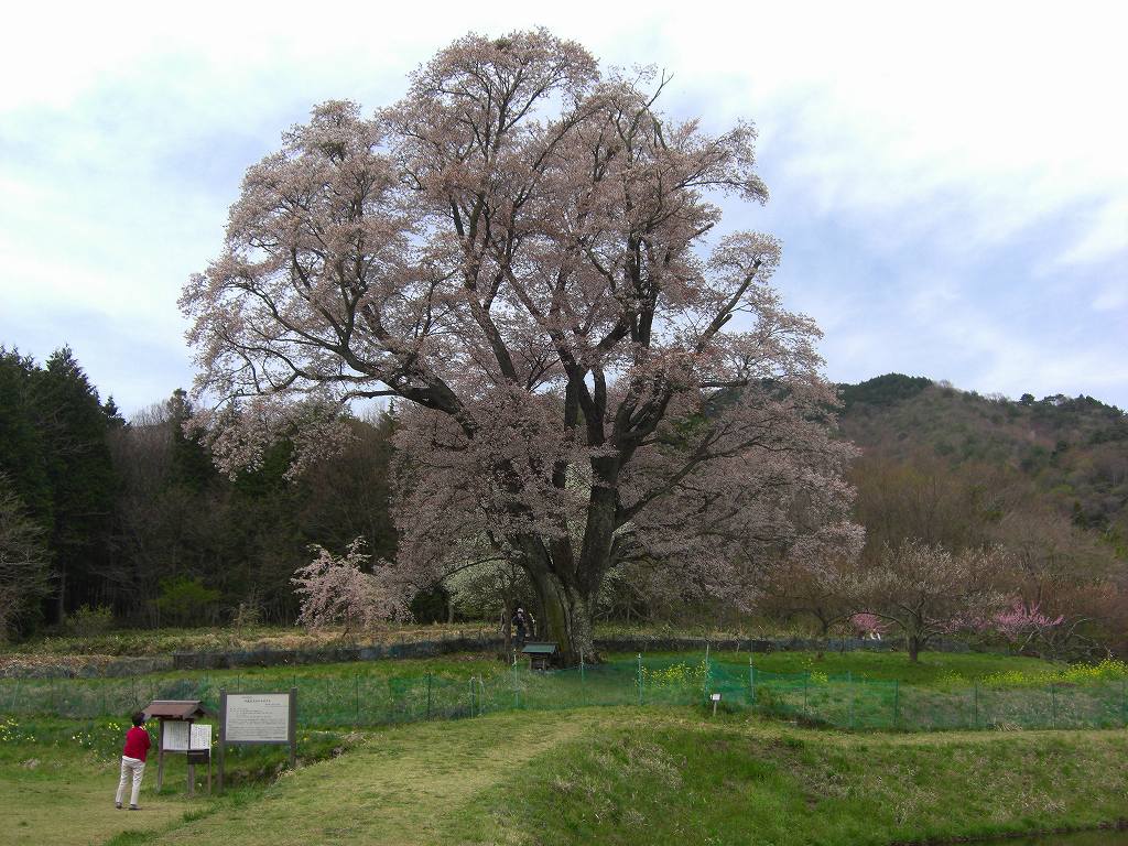 イメージ 6