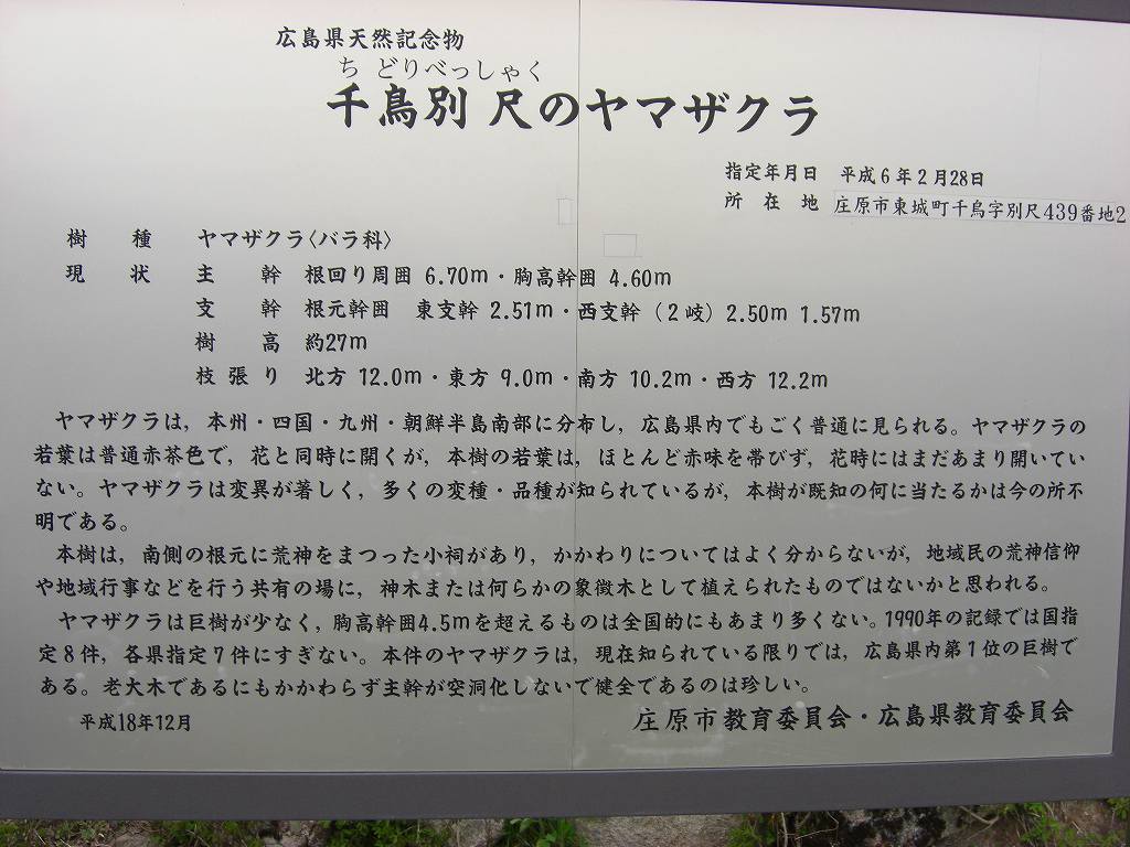 イメージ 7