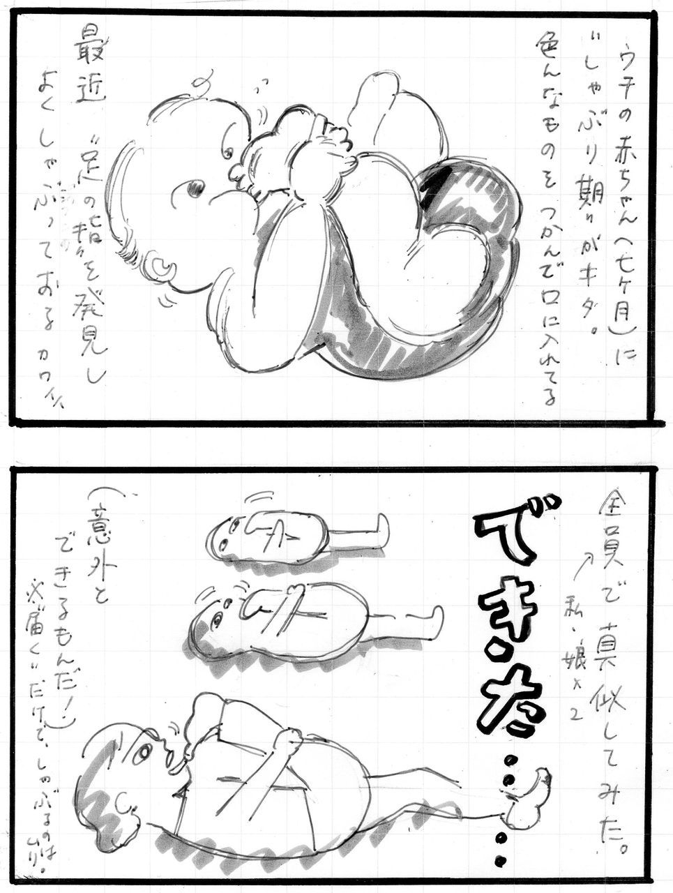 最近の赤ちゃん １ヒメ２ヒメ３タロウ