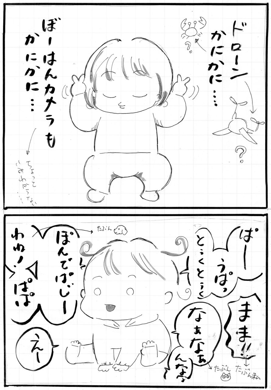 わけわからんから おもしろかわいい １ヒメ２ヒメ３タロウ