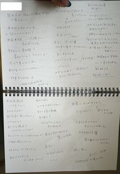 P1090018