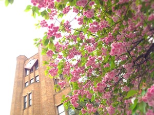 写真 (2)