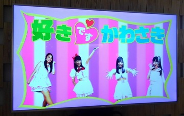 好きです♡かわさき