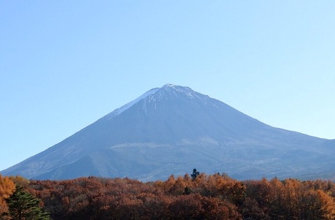 1478E7EC-BEC3-4771-B67B-18BEE0E734C8