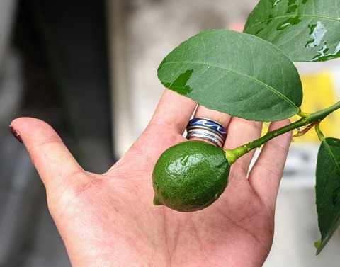 1B3F52B3-BDEE-45B6-9B16-9A6ED387DAC5