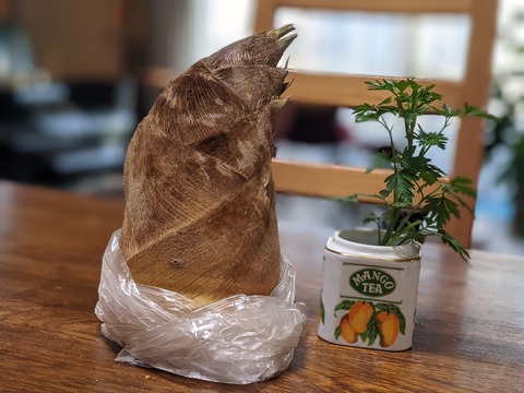 757FF55A-01BF-44CF-9AA8-DF4A614B6679