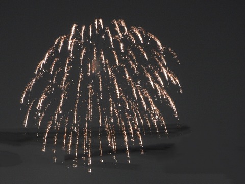 C8EE95C6-B084-4114-82D5-760A381E4E45