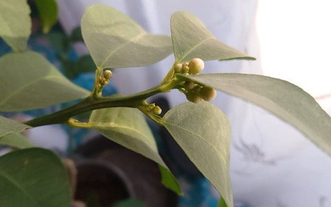 62B7D1A5-FE2B-47CB-898C-30AA18813C8B