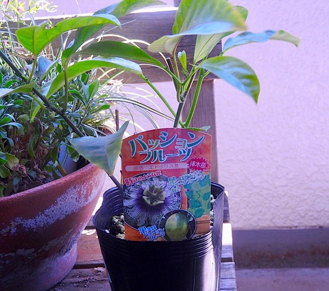 614DD594-77B4-41B8-810F-FFBE5DBBFA67