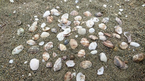 70B05FFE-1EBB-4EEF-953B-07AC53BF80EE