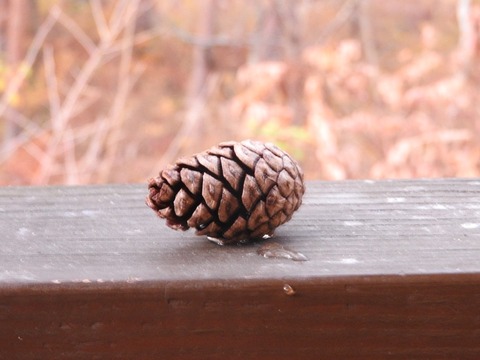 A4138A92-4AB7-453C-B741-859FC669F5E7