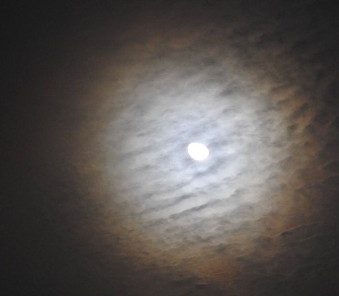 64F67B55-7032-4990-9FA1-693E822C8DBF