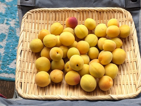 EAE585EF-1671-491C-AD46-008542E0F023