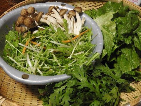 47E06D52-B170-4C53-8268-CC332F0CFCF2