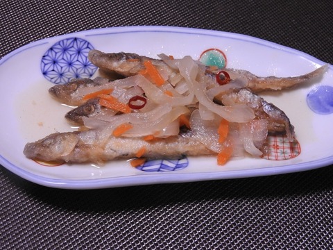 0C088043-1B9C-4865-9C36-958D123F1913