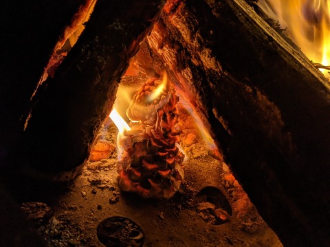 F9BB6096-52A1-4C80-A922-0B6F4209DCDC