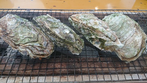 23A9D651-5040-4D79-AADF-3B61B46024C8