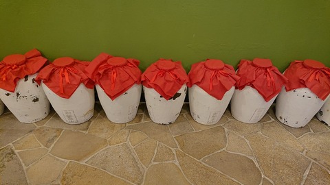 F0012E91-EE48-4823-AE80-415911C99A5E