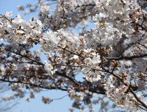 E73240C2-B68A-45C4-8E5D-6C25D13B3BE4