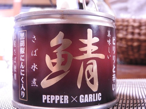 8098A69C-F828-491A-AACB-917908699298