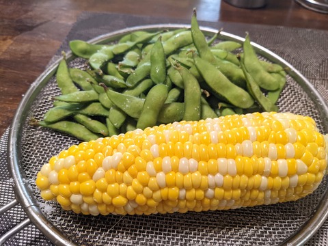 8FBE44B3-271D-494F-928A-9A1E4311399A