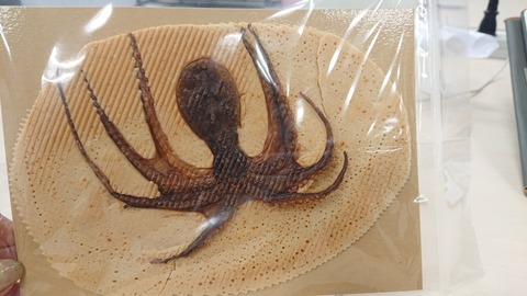 9E573974-43F1-45F8-B3EF-039D2EF5C8AF