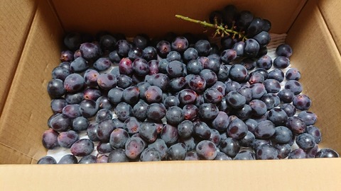 12441217-7406-478F-85F3-E6E3556412A1