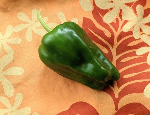 E5DBCBD4-8A36-4BE3-8E41-5E5E6784F3A3