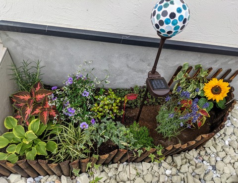 4C995EBD-A60D-4444-8610-7E7C5EB6AB0F