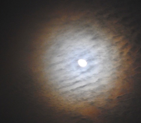 B255903E-FB84-470B-A1AB-E13001262C8F