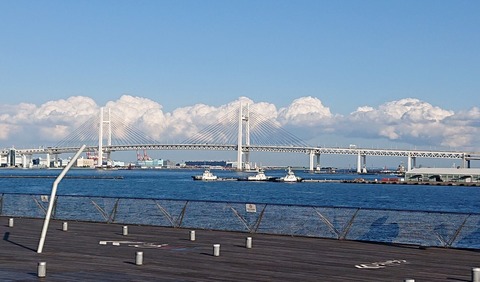 D7D56C1C-A8DB-4D9A-B821-E8F71DB3666E