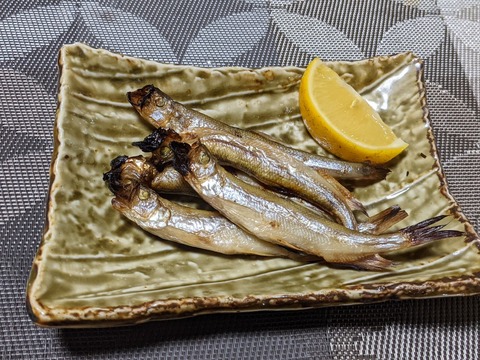 3A5B9F50-0C53-43C4-81E0-E17E541145F3