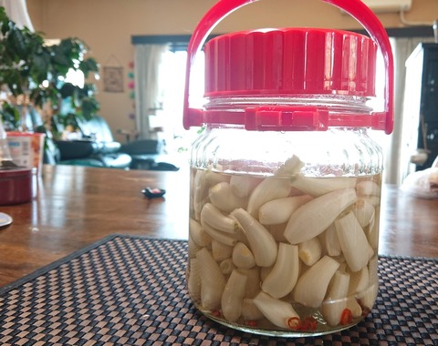 DAA04B4C-0B7A-42BD-830A-DD79B141EC23