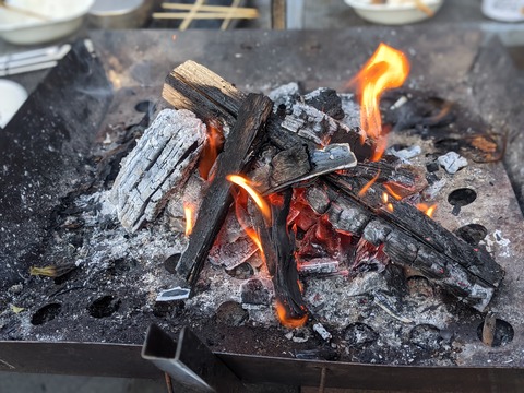 A87466B6-68A1-43C1-AE6D-CA0628739BAF