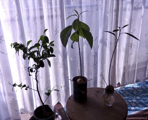 8BFAFAE6-B37C-4DE4-8E6B-FAA514204C82