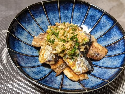 8072B256-B65B-4EBD-96A9-521BA25E1F05