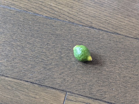 8A063FE0-4F45-4988-AF93-CD6743F2929A