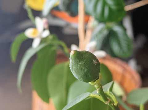 FED45455-7D1B-4084-A3DF-EE1DEA1E6C20