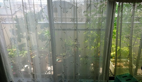 83F59B54-4268-46FB-9FD5-A861C5ACC872