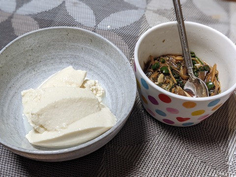 E5B0D262-1155-42E1-8387-9067FB9172CF