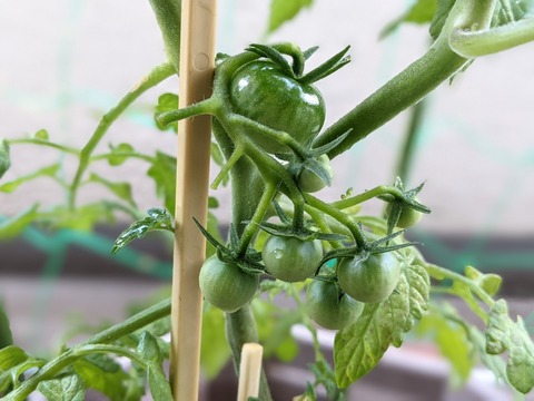 176774B8-D45B-421A-B79A-4FF5520535D9